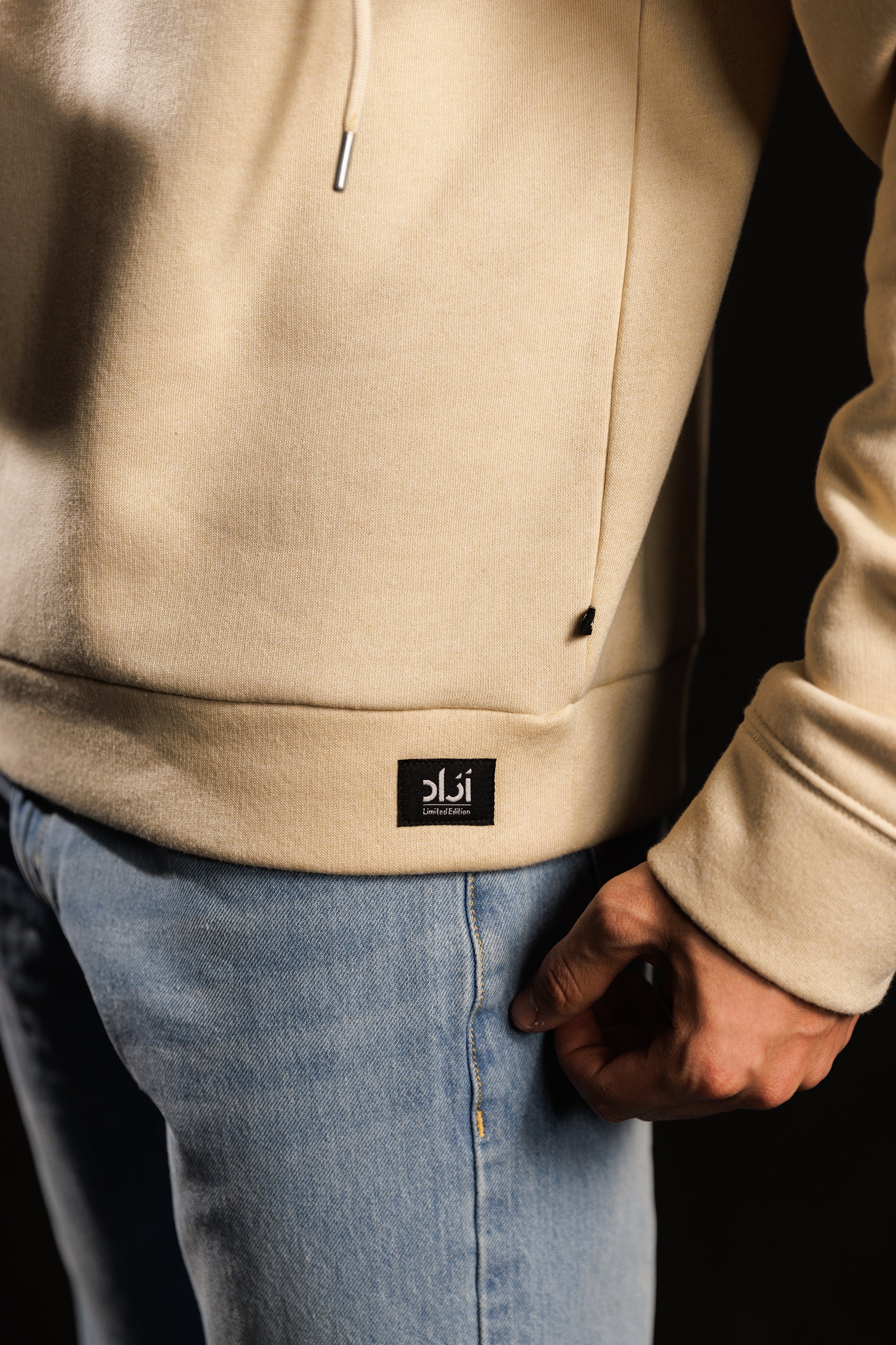 Rise of Phoenix-Graphic Hoodie